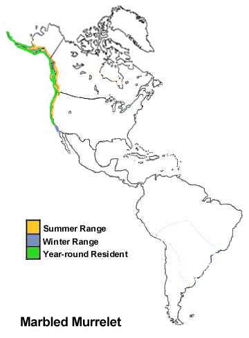 Marbled Murrelet Range Map