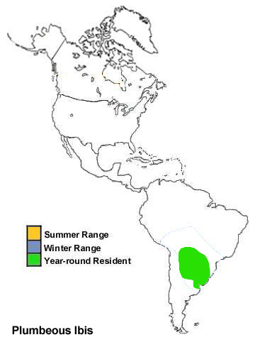 Plumbeous Ibis Range Map
